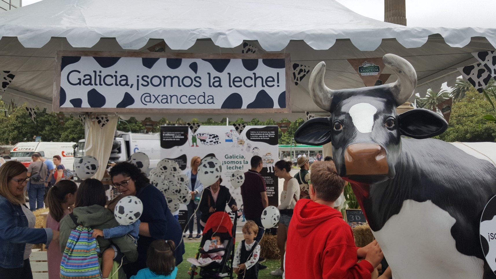 Galicia ¡somos la leche! 